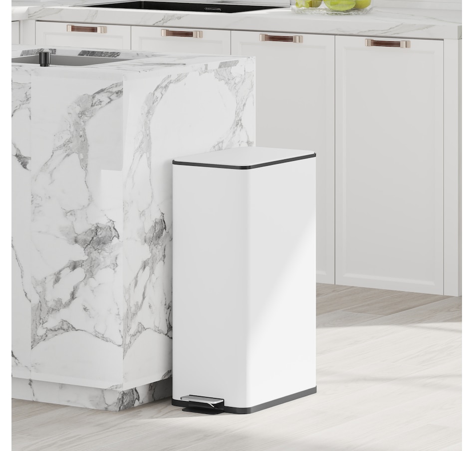 Image 934655_ALTMORE16.jpg, Product 934-655 / Price $87.99 - $94.99, HOMCOM 5.3gal Garbage Bin, Stainless Steel Trash Can with Soft-close Lid from HOMCOM on TSC.ca's Kitchen department