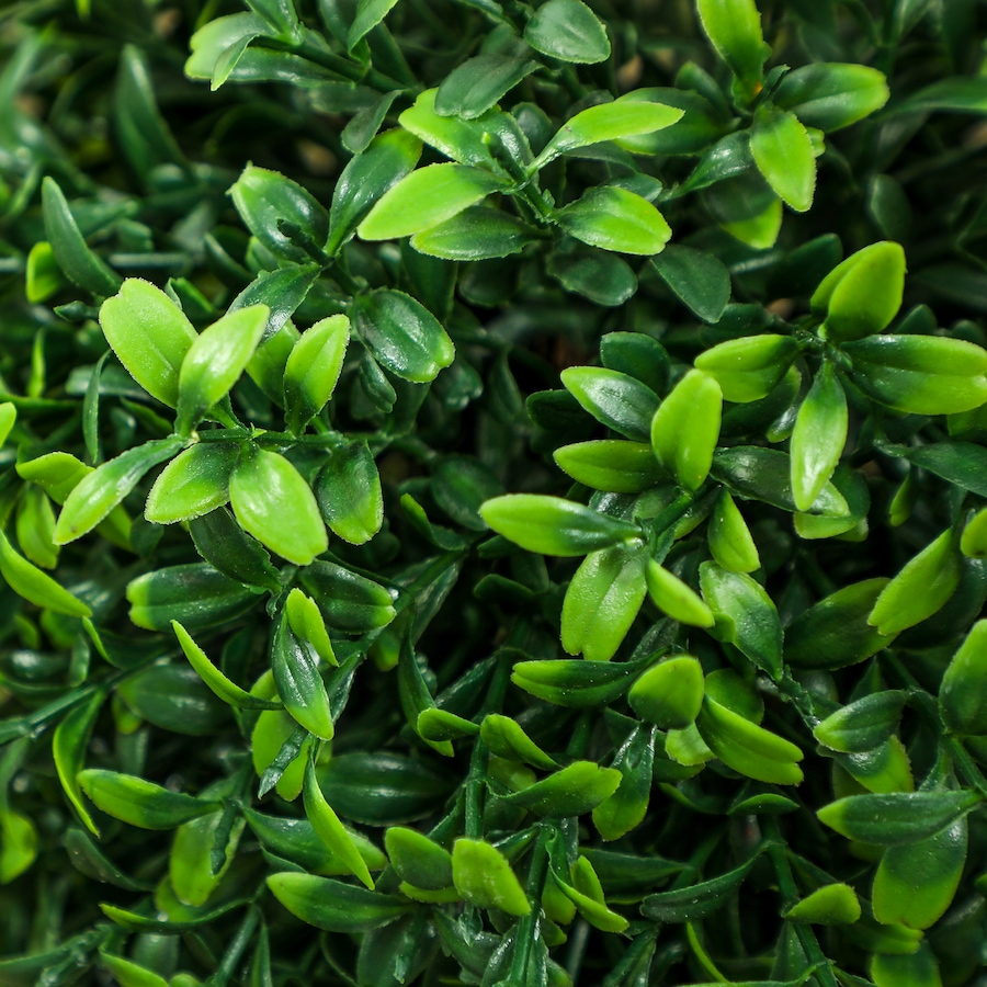 Image 938290_ALTMORE7.jpg, Product 938-290 / Price $92.99, HOMCOM 2 Pack Artificial Boxwood Topiary Ball Trees, Fake Plants in Pot from HOMCOM on TSC.ca's Home & Garden department