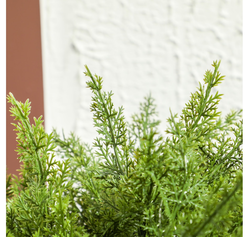 Image 938291_ALTMORE8.jpg, Product 938-291 / Price $51.99, HOMCOM Decorative Artificial Plants, Fake Plants for Home, Green from HOMCOM on TSC.ca's Home & Garden department