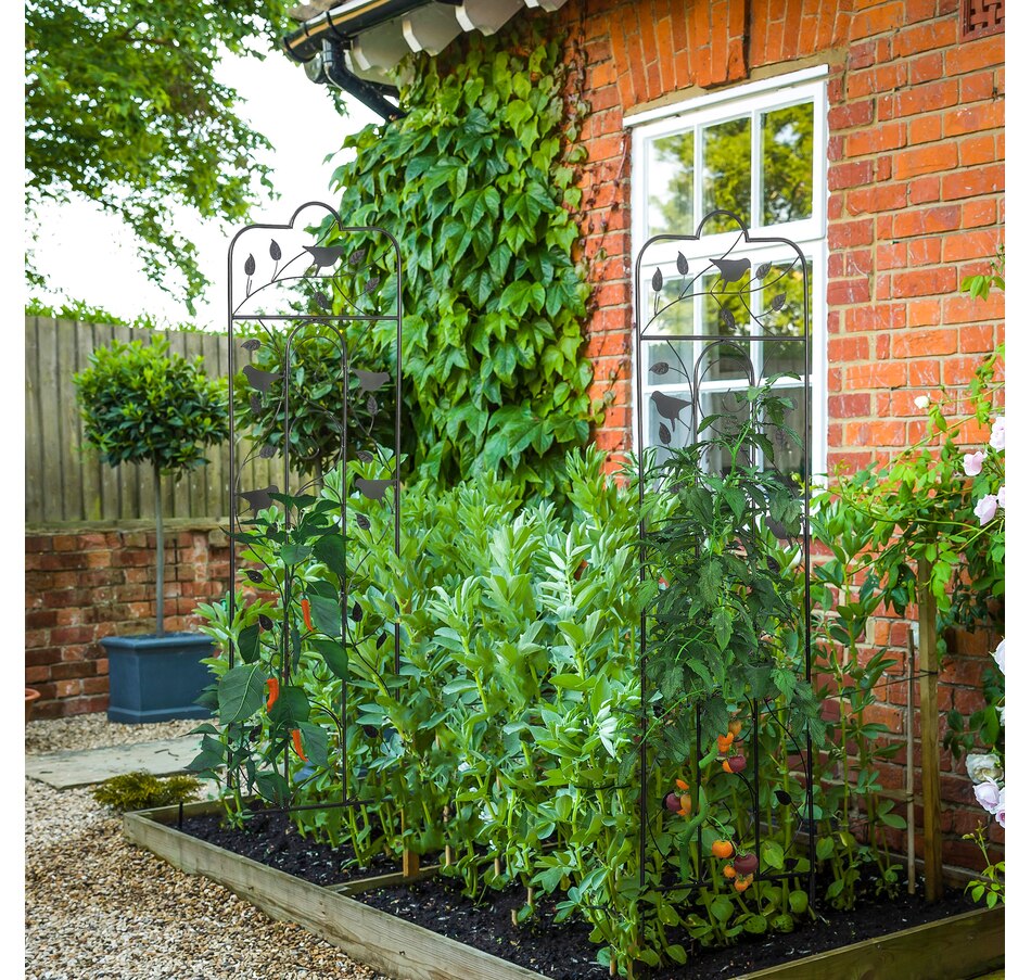 Image 946938_ALTMORE1.jpg, Product 946-938 / Price $82.99, Outsunny 2 Pack Garden Trellis for Climbing Plants from Outsunny on TSC.ca's Home & Garden department