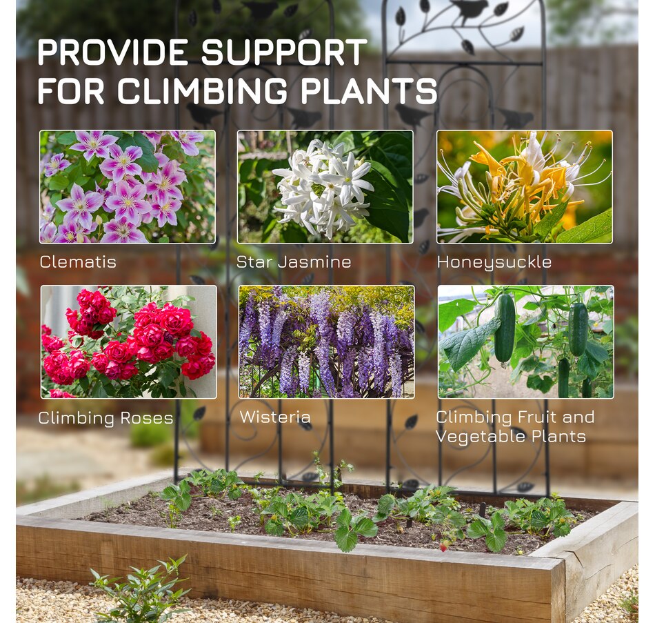 Image 946938_ALTMORE3.jpg, Product 946-938 / Price $82.99, Outsunny 2 Pack Garden Trellis for Climbing Plants from Outsunny on TSC.ca's Home & Garden department