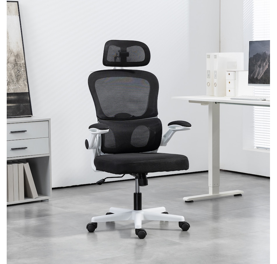 Image 947347_ALTMORE1.jpg, Product 947-347 / Price $134.99, HOMCOM Ergonomic Office Chair, Mesh Desk Chair with Lumbar Support, Black from HOMCOM on TSC.ca's Home & Garden department