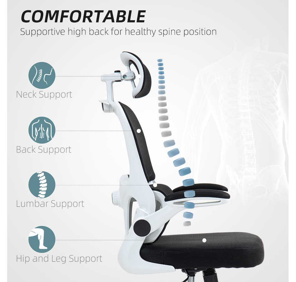 Image 947347_ALTMORE3.jpg, Product 947-347 / Price $134.99, HOMCOM Ergonomic Office Chair, Mesh Desk Chair with Lumbar Support, Black from HOMCOM on TSC.ca's Home & Garden department
