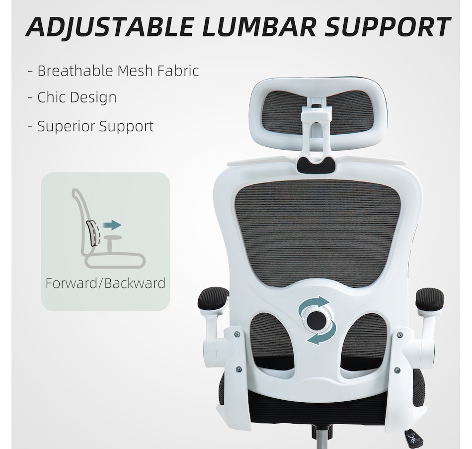 Image 947347_ALTMORE4.jpg, Product 947-347 / Price $134.99, HOMCOM Ergonomic Office Chair, Mesh Desk Chair with Lumbar Support, Black from HOMCOM on TSC.ca's Home & Garden department