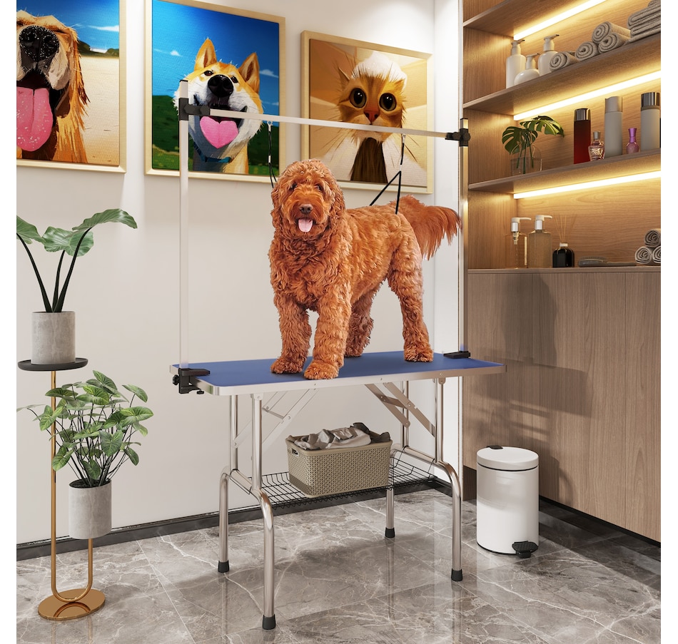 Image 962089_ALTMORE1.jpg, Product 962-089 / Price $162.99, PawHut Adjustable Dog Grooming Table with 2 Safety Slings, Blue from PawHut on TSC.ca's Home & Garden department
