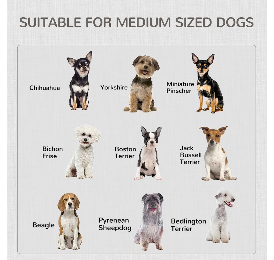 Image 962201_ALTMORE6.jpg, Product 962-201 / Price $129.99, PawHut End Table Pet Cage Kennel with Two Doors for Medium Dogs, White from PawHut on TSC.ca's Home & Garden department