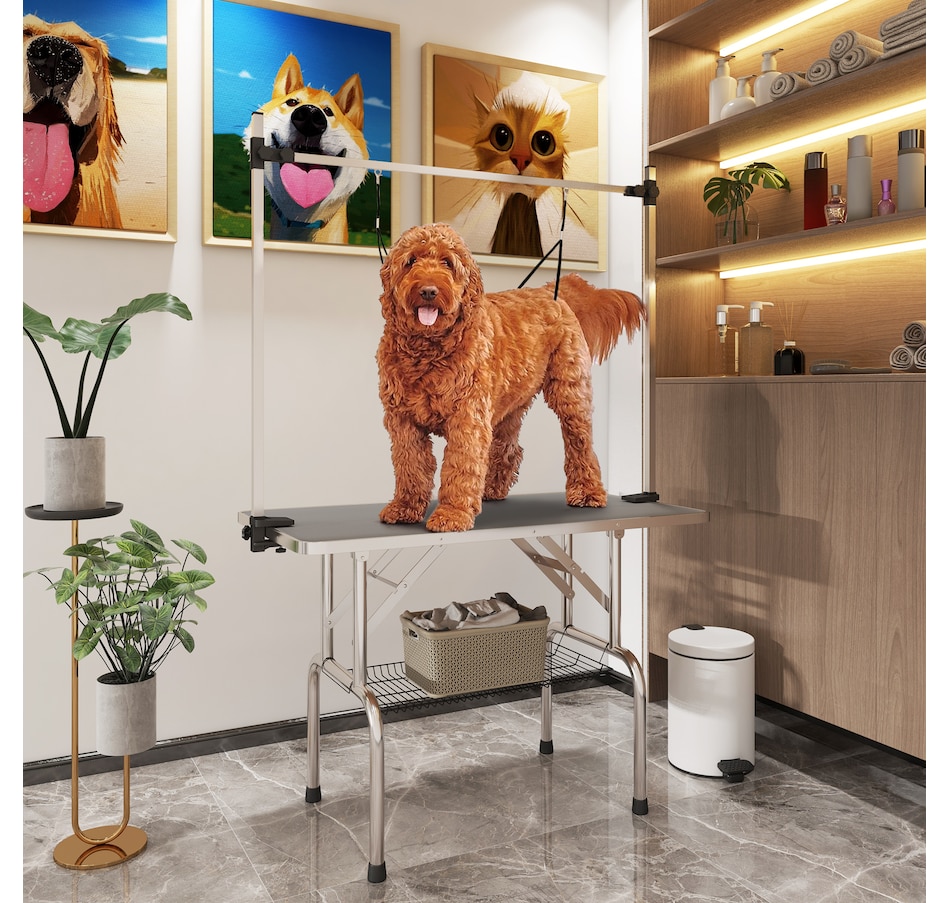 Image 962372_ALTMORE1.jpg, Product 962-372 / Price $159.99, PawHut Adjustable Dog Grooming Table with 2 Safety Slings, Grey from PawHut on TSC.ca's Home & Garden department