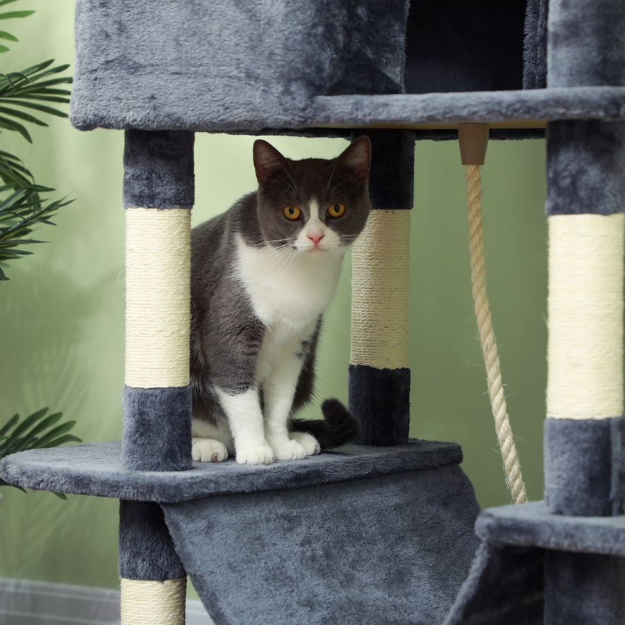 Image 962500_ALTMORE7.jpg, Product 962-500 / Price $99.99, PawHut 81" Large Cat Tree w/ Scratching Posts, Cat Condos, Beds, Dark Grey from PawHut on TSC.ca's Home & Garden department