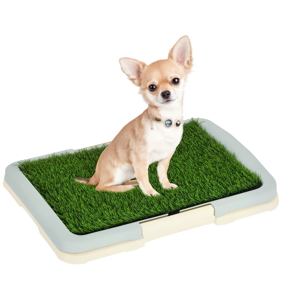 Image 962555.jpg, Product 962-555 / Price $34.99, PawHut Artificial Grass Pee Pad for Dogs Potty Training from PawHut on TSC.ca's Home & Garden department