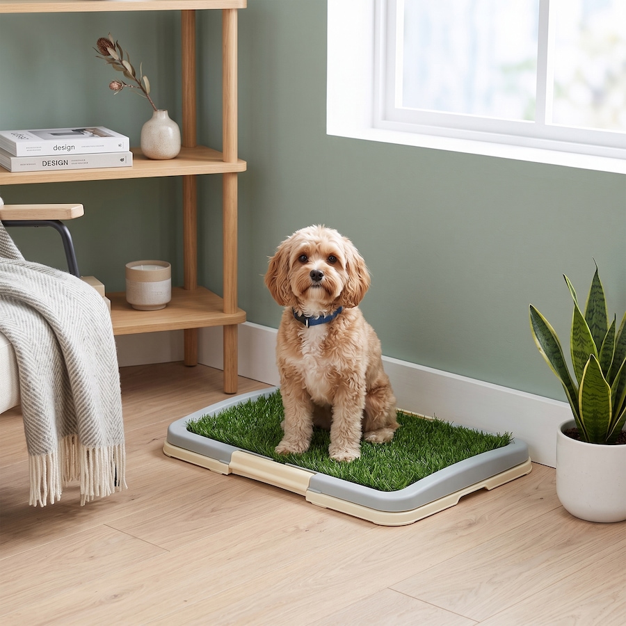 Image 962555_ALTMORE10.jpg, Product 962-555 / Price $34.99, PawHut Artificial Grass Pee Pad for Dogs Potty Training from PawHut on TSC.ca's Home & Garden department