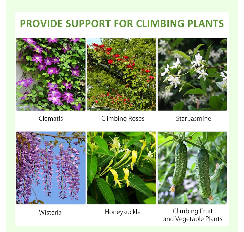 Image 964617_ALTMORE3.jpg, Product 964-617 / Price $83.99, Outsunny 2 Pcs Garden Trellis for Climbing Plants from Outsunny on TSC.ca's Home & Garden department