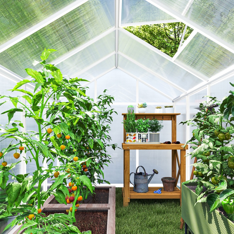 Image 965027_ALTMORE21.jpg, Product 965-027 / Price $299.99 - $439.99, Outsunny 8' x 6' Portable Outdoor Walk-In Garden Greenhouse w/ Roof Vent from Outsunny on TSC.ca's Home & Garden department