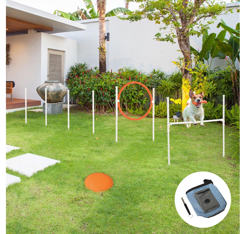Image 968203_ALTMORE1.jpg, Product 968-203 / Price $33.99, PawHut Dog Agility Training Equipment, 5 Pieces Dog Obstacle Course from PawHut on TSC.ca's Home & Garden department
