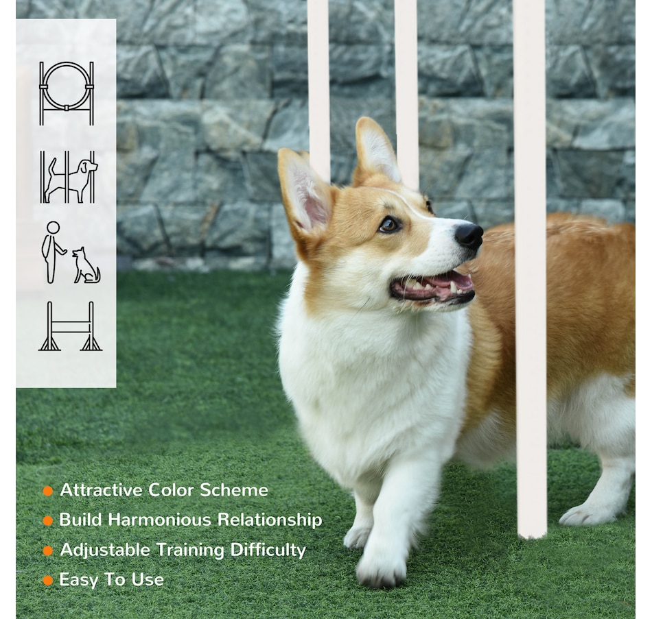 Image 968203_ALTMORE3.jpg, Product 968-203 / Price $33.99, PawHut Dog Agility Training Equipment, 5 Pieces Dog Obstacle Course from PawHut on TSC.ca's Home & Garden department