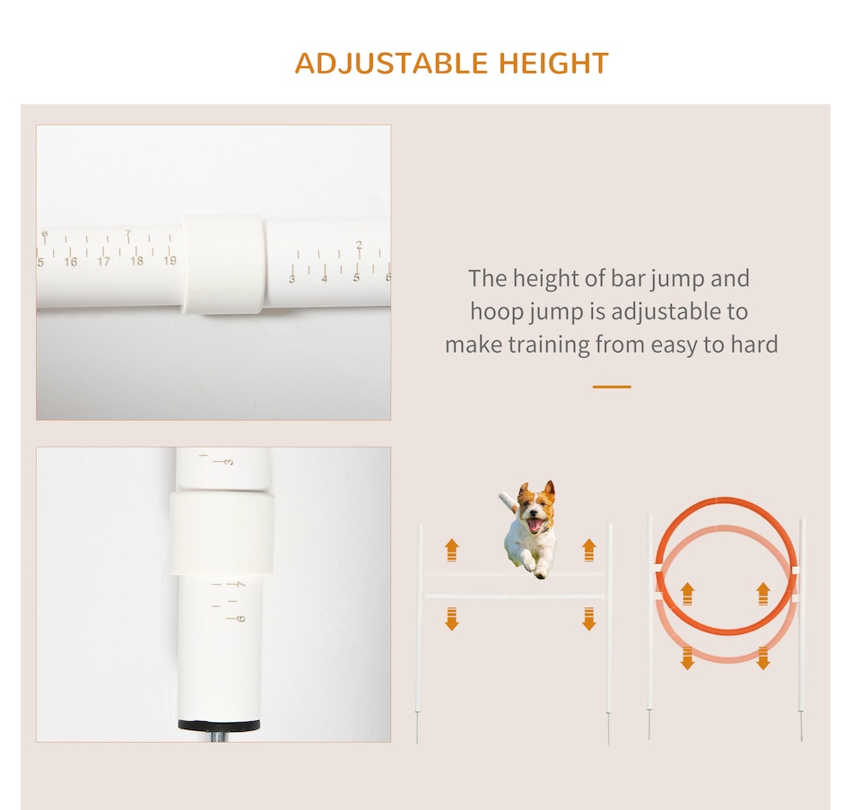 Image 968203_ALTMORE5.jpg, Product 968-203 / Price $33.99, PawHut Dog Agility Training Equipment, 5 Pieces Dog Obstacle Course from PawHut on TSC.ca's Home & Garden department