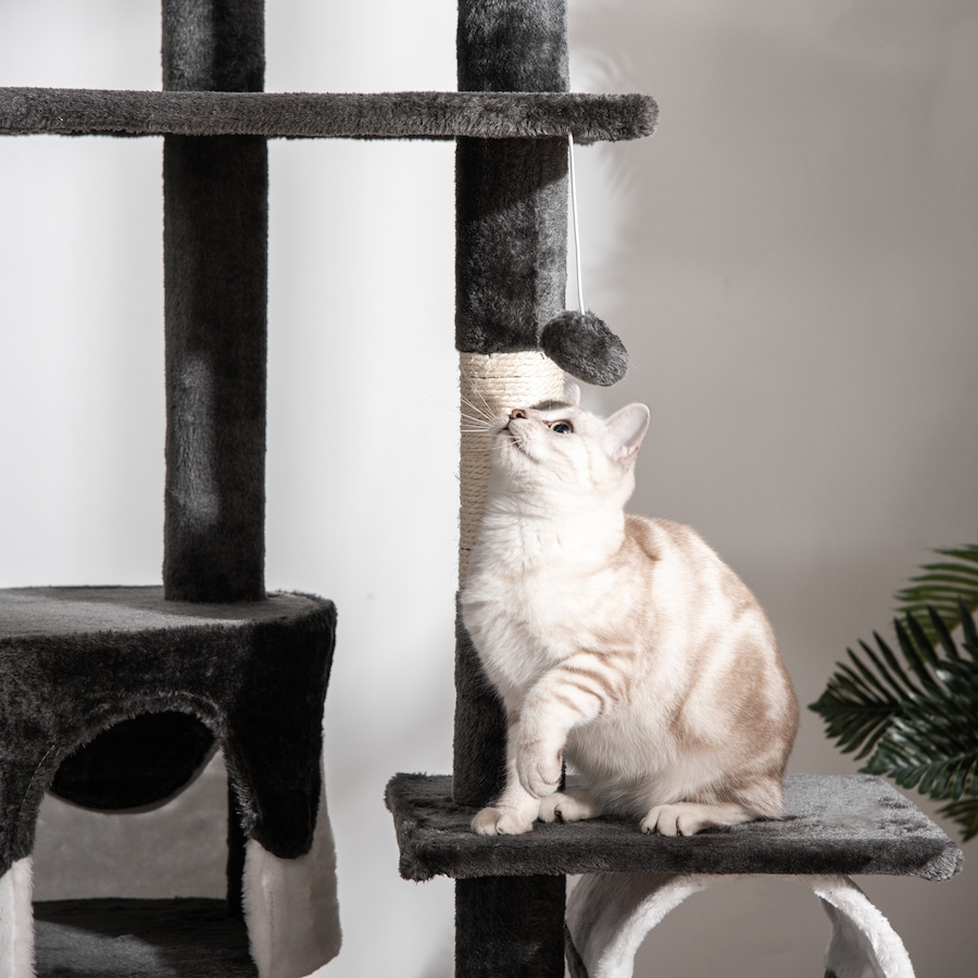 Image 982338_ALTMORE7.jpg, Product 982-338 / Price $98.99, PawHut Cat Tree for Large Cats, Floor to Ceiling, Adjustable, White from PawHut on TSC.ca's Home & Garden department
