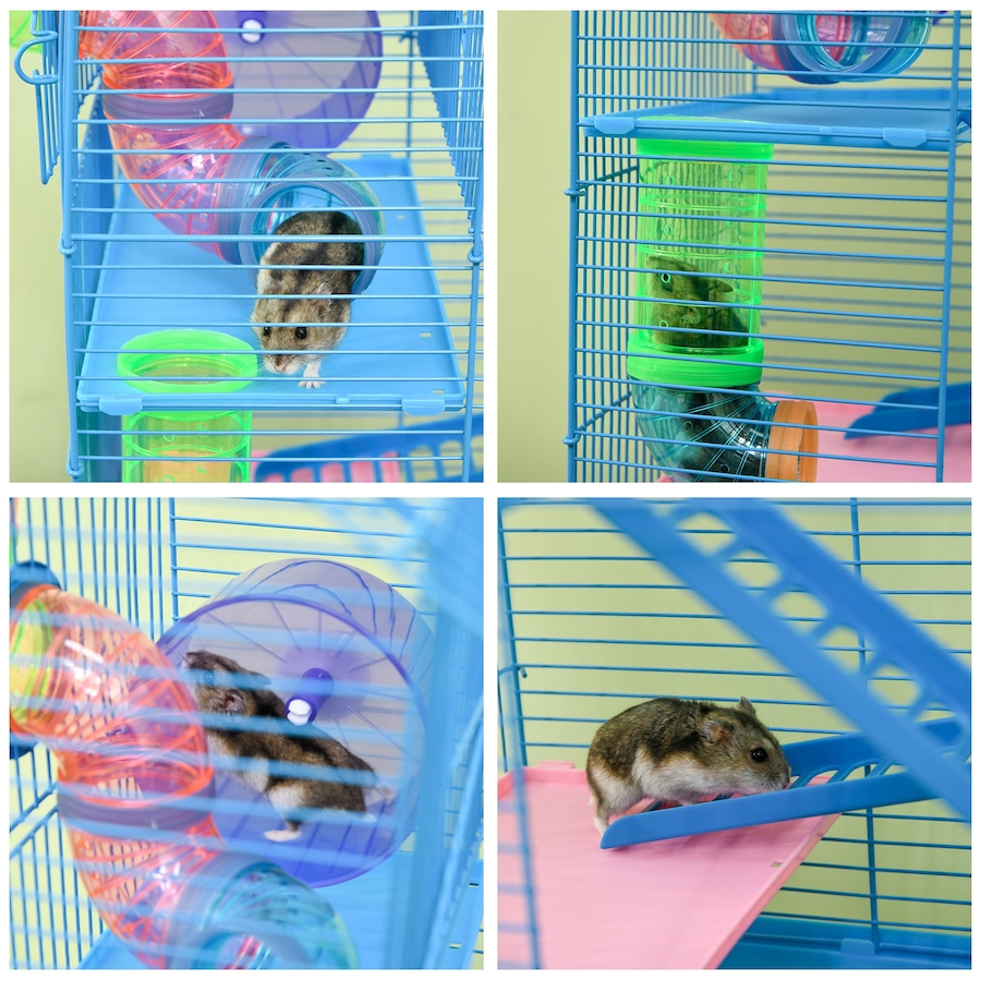 Image 982346_ALTMORE7.jpg, Product 982-346 / Price $63.99, PawHut 18.5" Hamster Cage with Tube System, Exercise Wheel, Blue from PawHut on TSC.ca's Home & Garden department