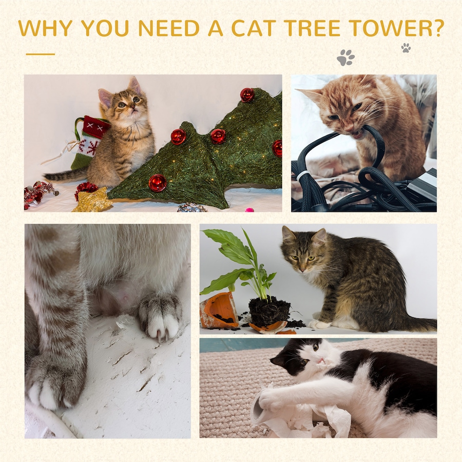 Image 982356_ALTMORE6.jpg, Product 982-356 / Price $79.99, PawHut Multi-Level Plush Cat Tree for Large Cats Adult, 60" H, Brown from PawHut on TSC.ca's Home & Garden department