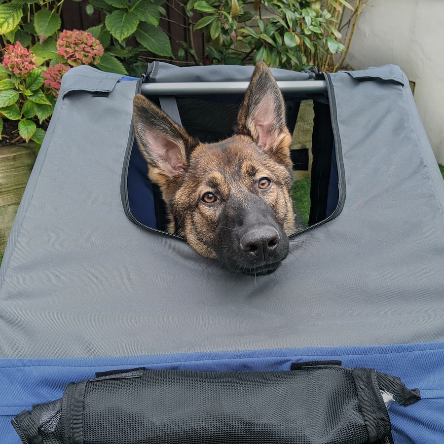 Image 982394_ALTMORE8.jpg, Product 982-394 / Price $129.99, Aosom Dog Bike Trailer, Pet Cart, Bicycle Wagon, Travel Cargo from Aosom on TSC.ca's Home & Garden department