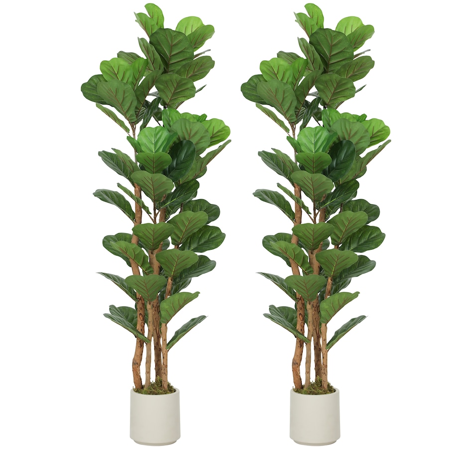 Image 982678.jpg, Product 982-678 / Price $109.99 - $169.99, HOMCOM Faux Fiddle Leaf Fig Tree Set of 2, Fake Tree for Indoor Decor from HOMCOM on TSC.ca's Home & Garden department