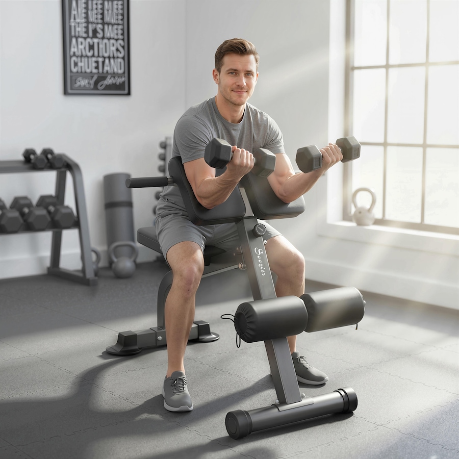 Image 982809_ALTMORE1.jpg, Product 982-809 / Price $119.99, Soozier Roman Chair, Foldable Hyperextension Bench, Silver Tone from Soozier on TSC.ca's Health & Fitness department