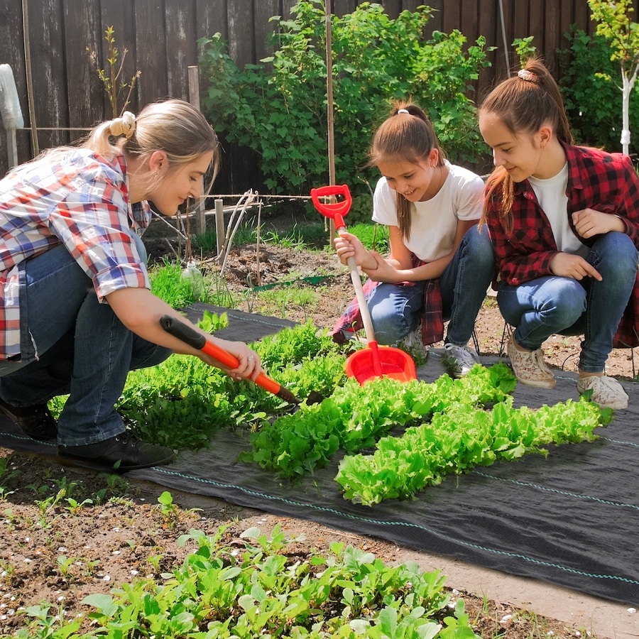 Image 987911_ALTMORE1.jpg, Product 987-911 / Price $39.99, Outsunny 3x164ft Weed Barrier Landscape Fabric, 2oz Weed Block Mat from Outsunny on TSC.ca's Home & Garden department
