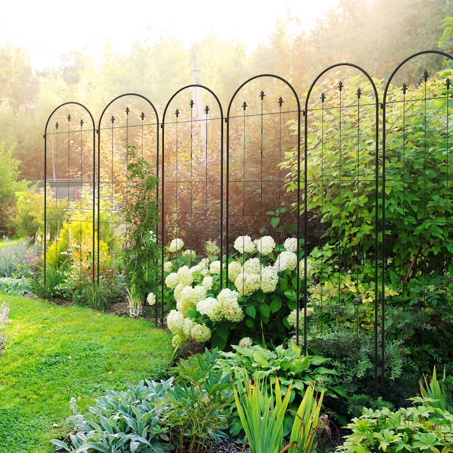 Image 988254_ALTMORE1.jpg, Product 988-254 / Price $175.99, Set of 6 Garden Trellis Metal Trellis for Climbing Plants Flowers from Outsunny on TSC.ca's Home & Garden department