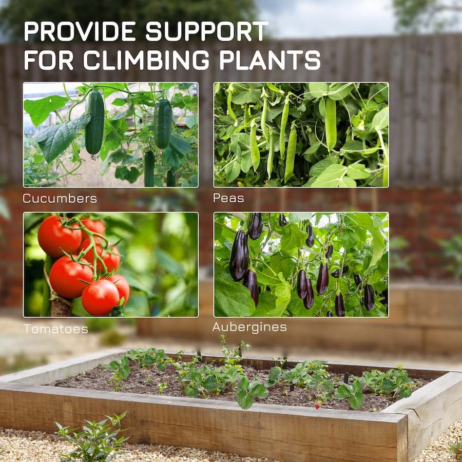 Image 988325_ALTMORE5.jpg, Product 988-325 / Price $49.99, Outsunny Metal Tomato Cage with Net for Climbing Plants Vegetables, Green from Outsunny on TSC.ca's Home & Garden department