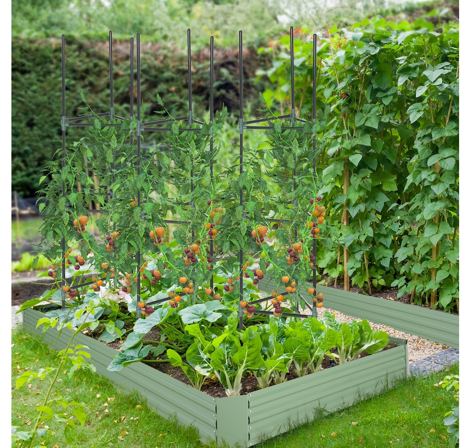 Image 997009_ALTMORE1.jpg, Product 997-009 / Price $32.99, Outsunny 3 Pack Tomato Cage Set from Outsunny on TSC.ca's Home & Garden department