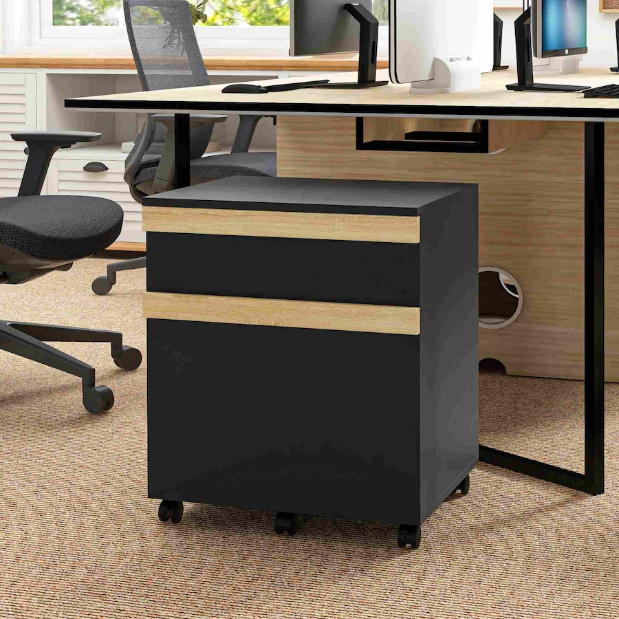 Image 997274_ALTMORE1.jpg, Product 997-274 / Price $83.99, Vinsetto 2 Drawers Filing Cabinet, File Cabinet with 5 Wheels, Black from Vinsetto on TSC.ca's Home & Garden department