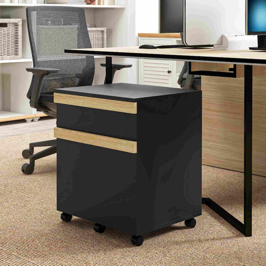 Image 997274_ALTMORE7.jpg, Product 997-274 / Price $83.99, Vinsetto 2 Drawers Filing Cabinet, File Cabinet with 5 Wheels, Black from Vinsetto on TSC.ca's Home & Garden department