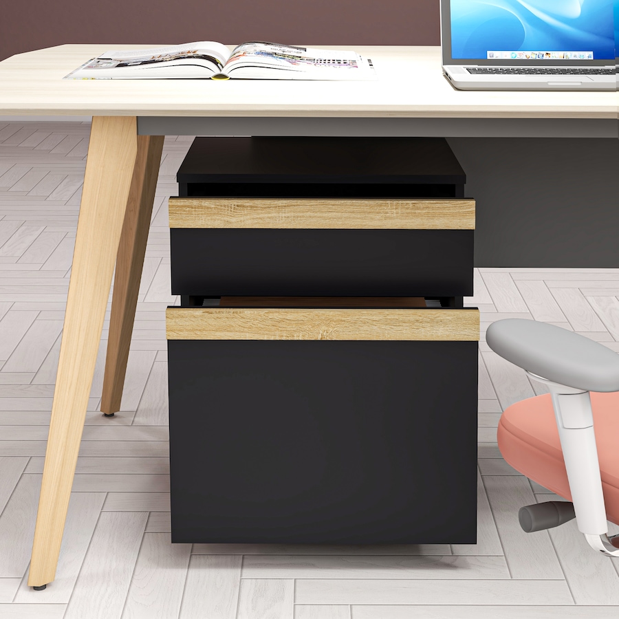 Image 997274_ALTMORE8.jpg, Product 997-274 / Price $83.99, Vinsetto 2 Drawers Filing Cabinet, File Cabinet with 5 Wheels, Black from Vinsetto on TSC.ca's Home & Garden department