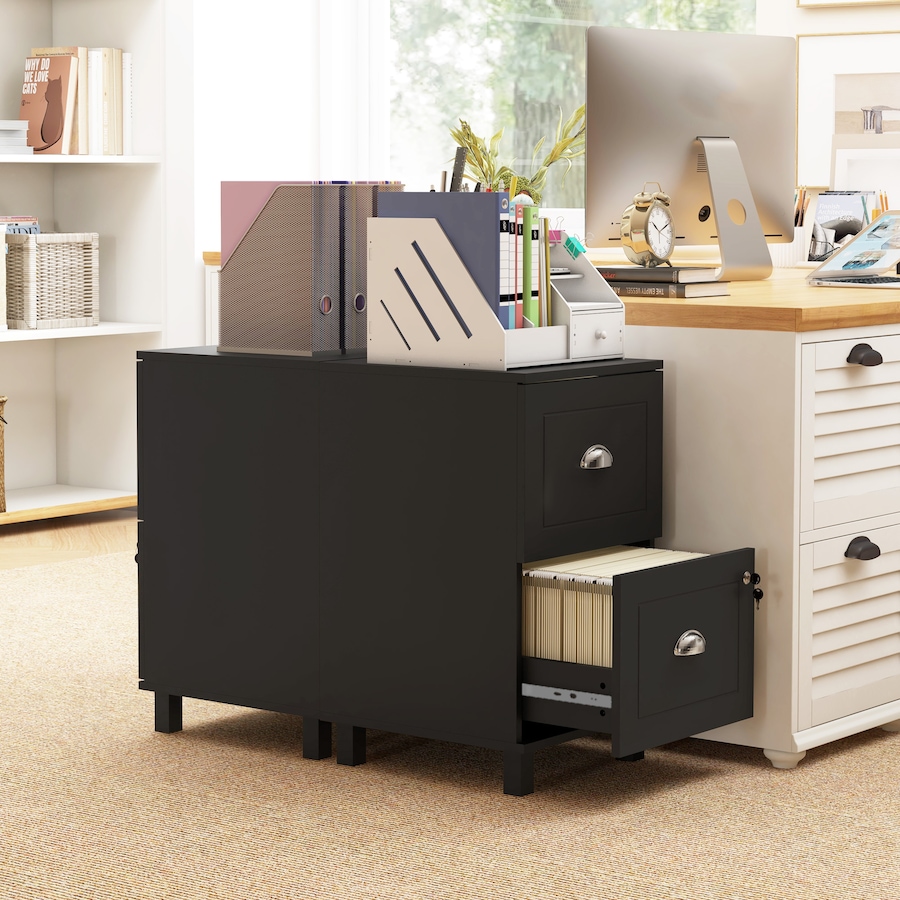 Image 997302_ALTMORE8.jpg, Product 997-302 / Price $94.99, HOMCOM Lockable 2 Drawer File Cabinet with Hanging Bars for A4 and Letter from HOMCOM on TSC.ca's Home & Garden department